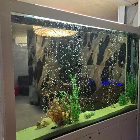 公寓 Sarafovo Atlantis 58 布尔加斯