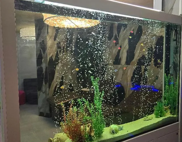 Appartement Sarafovo Atlantis 58 Burgas Stad